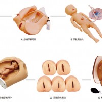 高級(jí)腹部觸診、分娩機(jī)轉(zhuǎn)綜合模型